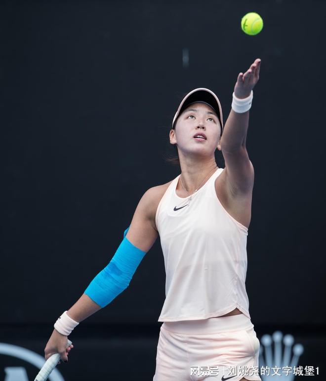 壹号娱乐-莎拉波娃遭遇七连败，瑞士队教练面临压力！的简单介绍